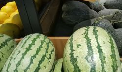 大瓜网红吃瓜图片大全,网红吃瓜图片大全，揭秘娱乐圈幕后真相